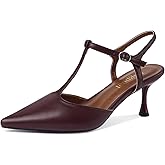 Migpuel Rhinestone Kitten Heels for Women Closed Pointed Toe Stiletto Heels Ankle Strap Buckle Prom Party Wedding Office Work Elegant Dress Pumps Shoes