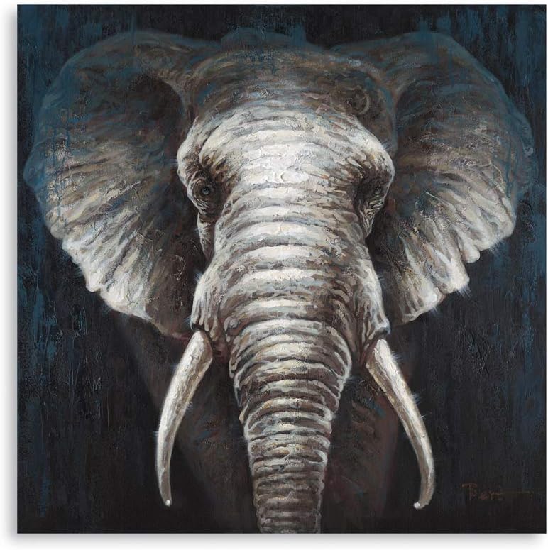B BLINGBLING Elephant Canvas Wall Art Black and White Elephant Wall