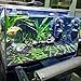 Aquarium Plants Seeds Aquatic Double Leaf Carpet Water Grass, for Fish Tank Rock Lawn Garden Decor