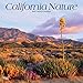 California Nature 2019 12 x 12 Inch Monthly Square Wall Calendar, USA United States of America Pacific West State Nature (Multilingual Edition) by 