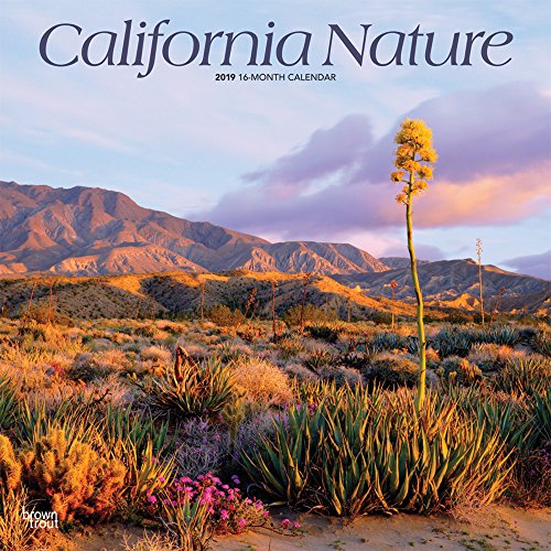 California Nature 2019 12 x 12 Inch Monthly Square Wall Calendar, USA United States of America Pacific West State Nature (Multilingual Edition) by (Calendar)