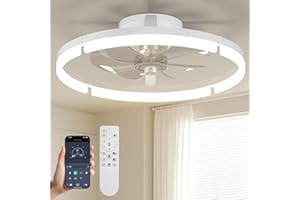 Passky 20” Low Profile Ceiling Fan with Lights and Remote, Dimmable LED Flush Mount Fandelier, 6 Speeds, 3000K–6000K, White Modern Ceiling Fan for Bedroom, Kitchen, Living Room