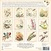 The Illustrations of Nature by Edith Holden 2014 Wall (calendar)