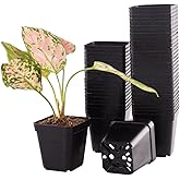 Tulpeed 100 Packs Square Nursery Pots for Plants 2.2 Inch Succulent Plant Pots Set Plastic Seedling Starting Pots with Drainage Holes Nursery Pots Variety Pack Flower pots Planter Seed Starter, Black