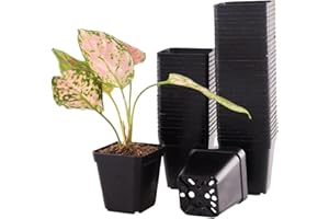TULPEED 100 Packs Square Nursery Pots for Plants 2.2 Inch Succulent Plant Pots Set Plastic Seedling Starting Pots with Drainage Holes Nursery Pots Variety Pack Flower pots Planter Seed Starter, Black