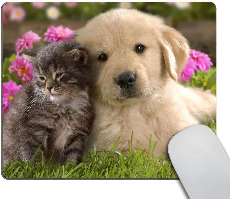 Wasach Mouse Pad Animals Cat Kitten Dog Golden Retriever Puppy Mousepad Rubber Gaming Mat 9.5 X 7.9 Inch (240mmX200mmX3mm)