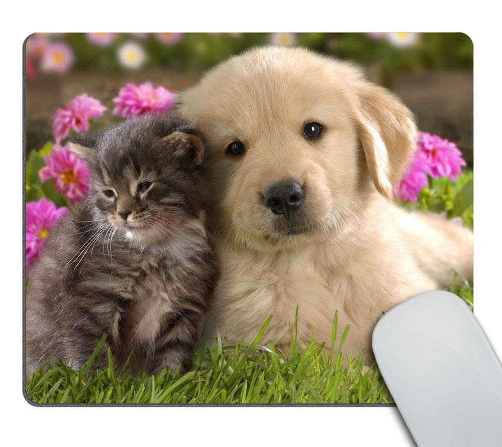 Wasach Mouse Pad Animals Cat Kitten Dog Golden Retriever Puppy Mousepad Rubber Gaming Mat 9.5 X 7.9 Inch (240mmX200mmX3mm)