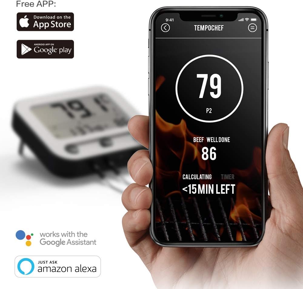 google home compatible thermometer