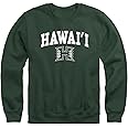 Barnesmith Spirit Logo, Adult Unisex, Crewneck Sweatshirt for College