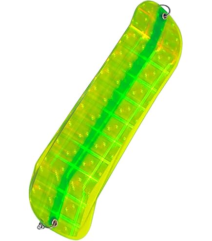 Amazon.com : Pro-Troll Fishing Products HotChip 11 Flasher with