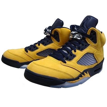 michigan retro 5