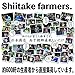 Japanese Dried Shiitake KOSHIN, 42-75mm, 70g