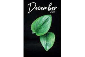 December 2023 Daily & Weekly Planner