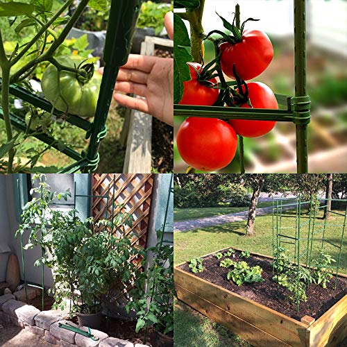IPSXP Vegetable Trellis, Garden Plant Support Cages Stakes for Climbing Plants, Vegetables, Flowers, Fruits, Vine, 6 Garden Trellis with 80 Adjustable Cable Tie