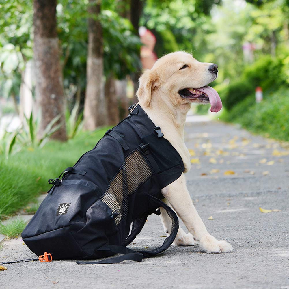 Woolala Dog Backpack with Waterproof Lining Travel Bag for Small Pets - Black XL