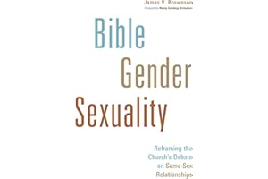 Bible, Gender, Sexuality: Reframing the Church's Debate on Same-Sex Relationships