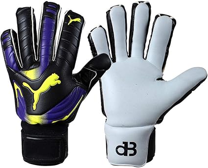 puma evopower goalkeeper gloves