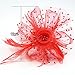 FeiYu Crafts Penny Mesh Hat Fascinator with Mesh Ribbons and A-Red Feathers(A-Red)