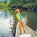 Outward Hound Standley Sport Dog Life Jacket, High-Performance Ripstop Dog Life Vest for Swimming, Boating, and Water Safety, Large, Green