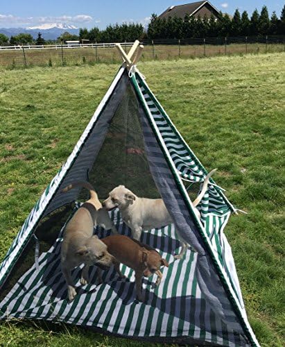 Deluxe Portable and Breathable Kids Teepee Play Tent Sun Shelter in Cotton Canvas with removable floor mat
