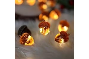 BELNIAK Decorative Fairy Acorn String Lights Thanksgiving Decoration Autumn Garland Cute Novelty Lights 30 LEDs 10 ft Battery Operated for Bedroom Wedding Birthday Harvest Decor