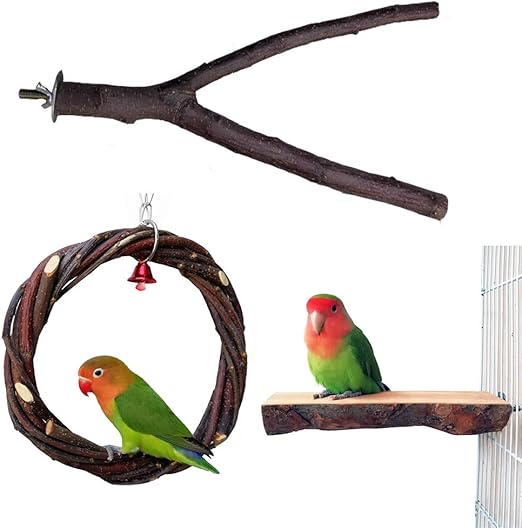 parrot swing