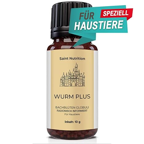 Katzen Wurmkur Würmer Bei Katzen Verbreitung Symptome