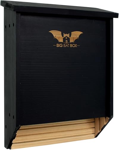 WildYard Complete Bat House Outdoors Two Chamber Cedar 75 Bats Easy Install