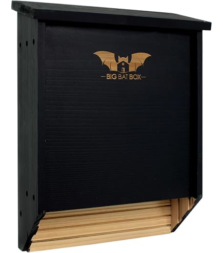 Abri à Chauves-Souris En Bois De Cèdre - Maison 3 Chambres Pour Jardin - Design Noir Élégant Et Écologique