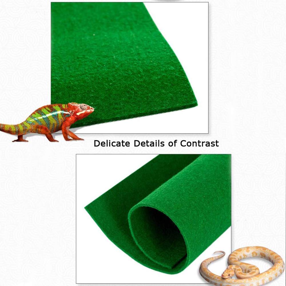 bedding for iguana
