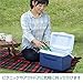 Rubbermaid Cooler, 10 Quart, Blue FG2A1104MODBL