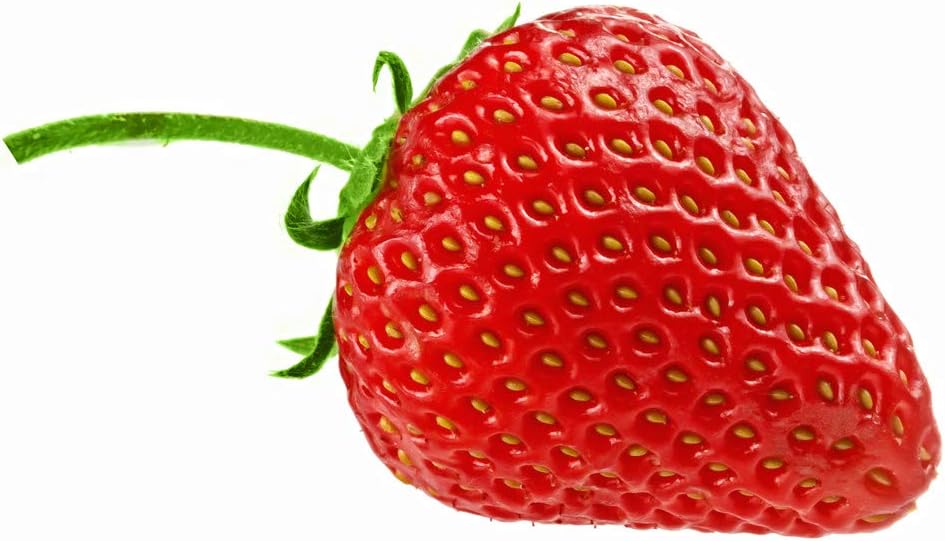 Padgett Bros Peculiar Strawberry Kit Multi 82015 - Image 4