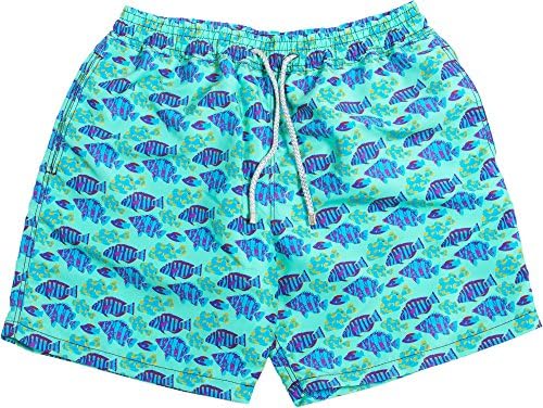 Papua - Clown-Fish Print High-End Light Green/Blue Swim Shorts-Medium