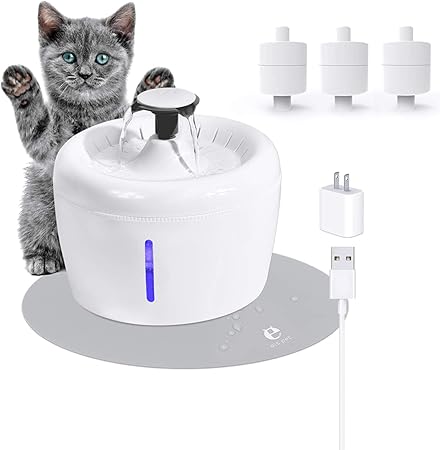 amazon cat fountain filters