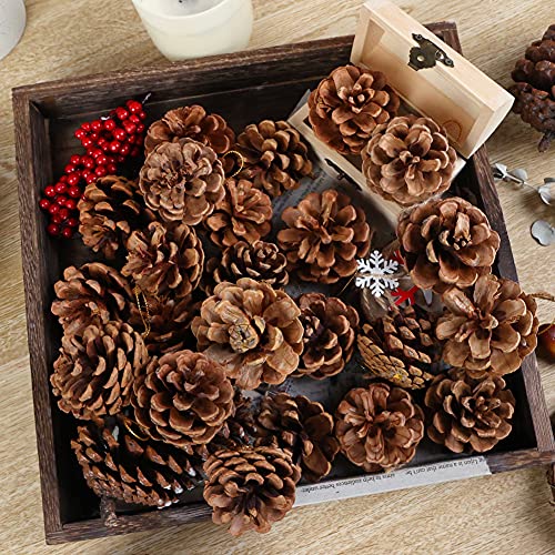 JOHOUSE 24PCS Big PineCones, Natural PineCones Package, PineCones Ornaments for Autumn and Winter Crafts Decorating, Christmas Decor, Bowl Vase Fillers