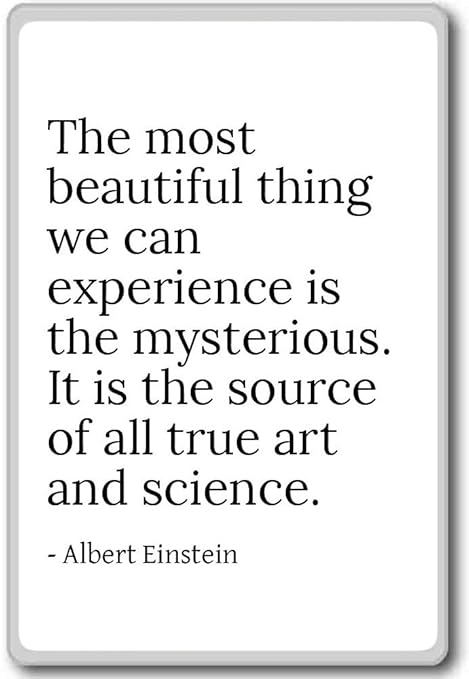 PhotoMagnets The Most Beautiful Thing We Can Experience - Albert ...