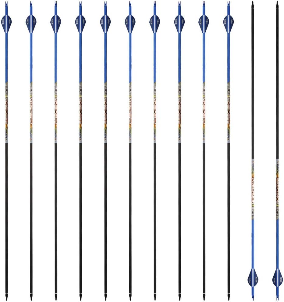PANDARUS Pure Carbon Arrows 32 Inch /30 Inch Hunting Arrows for Recurve Bow,100% Carbon Archery Target Arrows with Removable Tips for Youth Hunters & Bowhunters (Pack of 12)