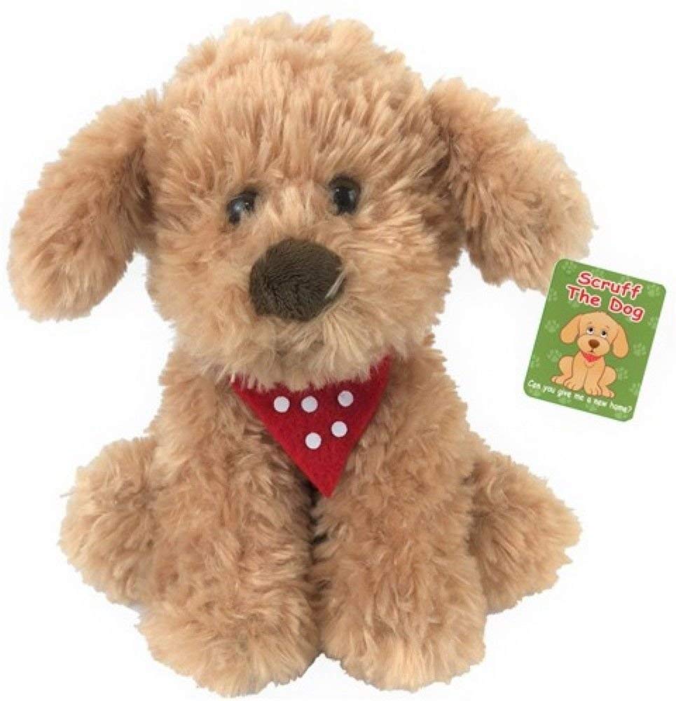 cockapoo teddy