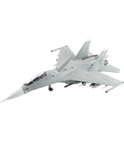 Amazon.com: for Hobby Master Su-30MK Blue 02, Russia Air Force