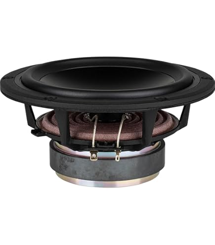 Amazon.com: Dayton Audio DS175-8 6-1/2