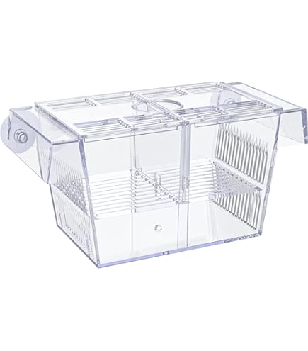 Incubatore Galleggiante Per Pesci Marina - 2 In 1 Per Avannotti E Pesci Gravidanza