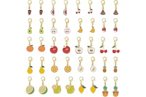CRAFTYMELODY 40Pcs 20 Styles Shoes Charms Alloy Enamel Shoe Charms for Sneakers Pineapple Watermelon Cherry Fruit Shoe Charm 