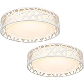 VICNIE LED Flush Mount Ceiling Light 2 Pack, 14 Inch Dimmable Round Lighting Fixture, 20W 1400 Lumens 3000K Warm White, ETL L