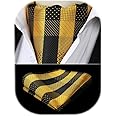 HISDERN Ascot Ties for Men Paisley Cravat Tie and Pocket Square Set Floral Mens Ascot Scarf Handkerchief Wedding Party