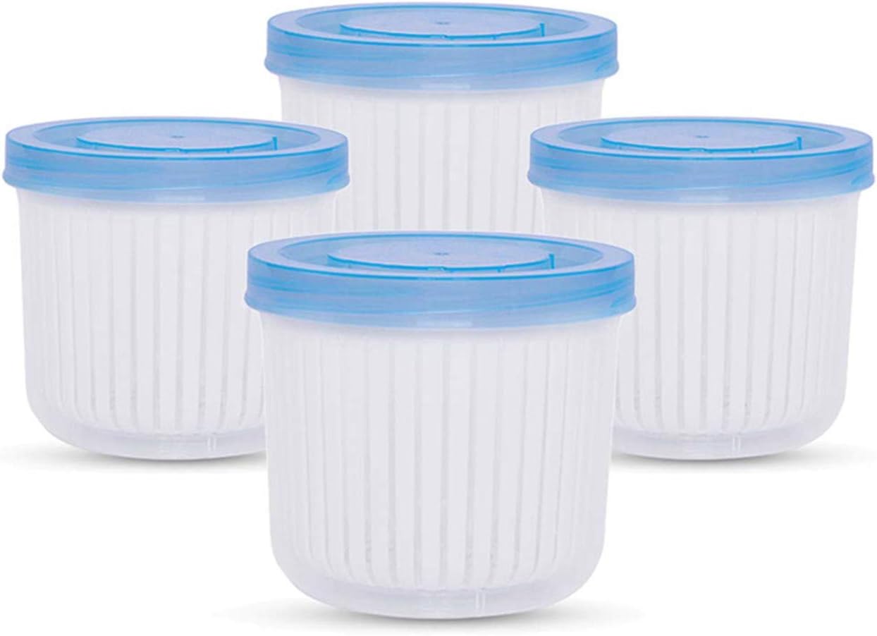 Double Layer Vegetables Sealed Keeper, Refrigerator Food Fresh Storage Box with Drain Basket, Used in Storing Chopped Green Onion, Ginger, Garlic, Vegetables and Fruits 4pcs