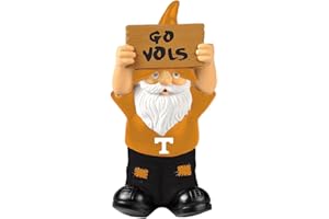 Elite Fan Shop NCAA Small Garden Gnomes