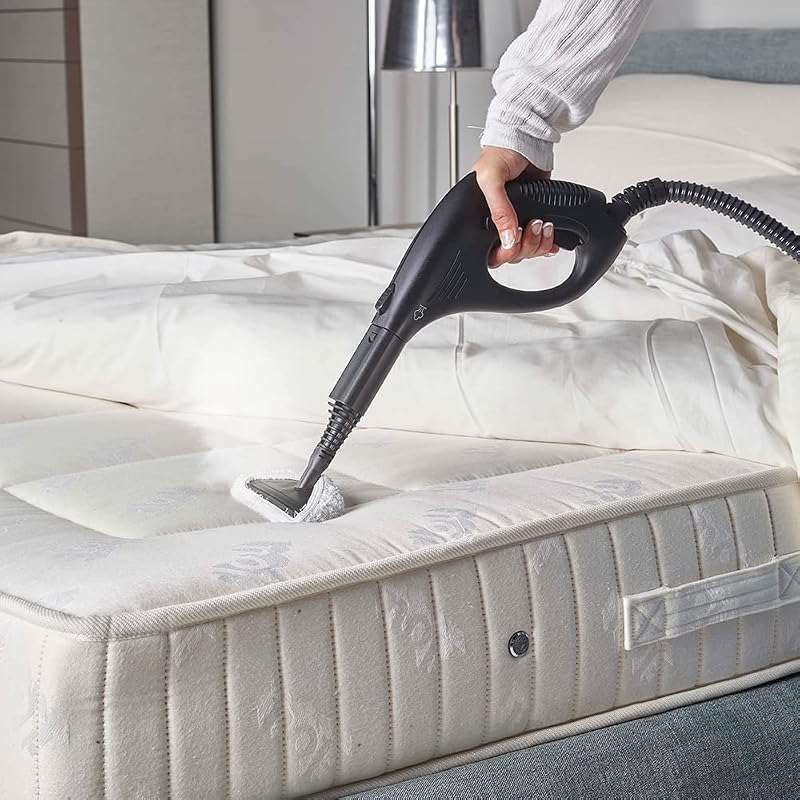 Vaporetto Smart 30 R, Pulitore a Vapore con Caldaia, Pressione 3 Bar