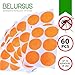 Belursus Mosquito Repellent Patch/3cm Resealable 60 Units/Premium Japan natural essential plant oils/100% Natural Mosquito Repellent/24-Hour Protection/Simply Apply to Skin and Clothes