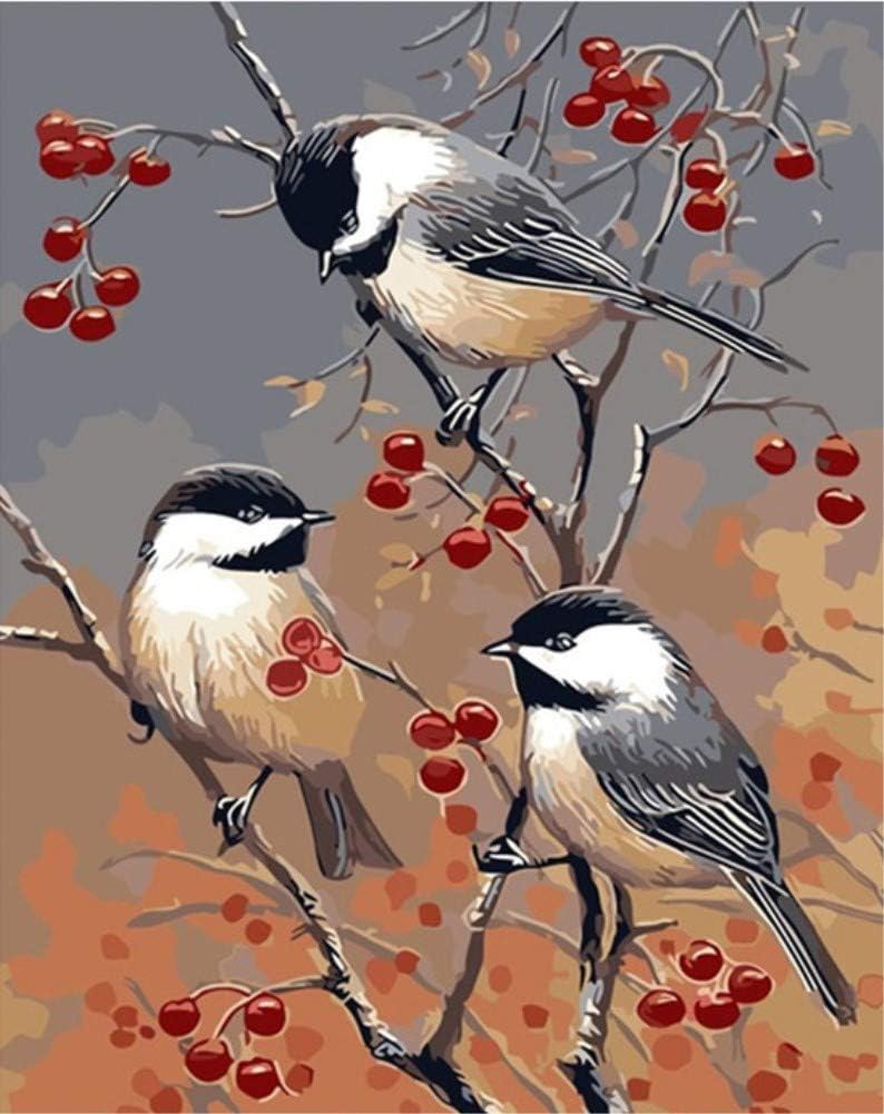 ABEUTY DIY Paint by Numbers for Adults Beginner Flowers and Birds of Living Room 16x20 inches Number Painting (No Frame)