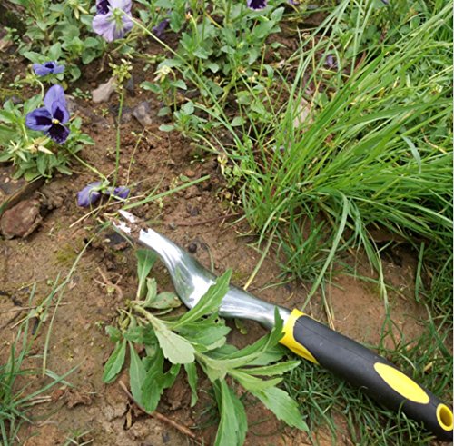 Hand Weeder Tool,Garden Weeding Removal,Cutter Tools with Ergonomic Handle,as Best Dandelion Digger,Weed Puller & Cultivator for Your Flower and Vegetable Plants Care on Lawn,Yard.(Weeder)